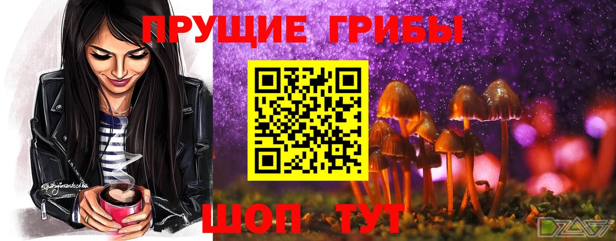 Благодарный  Галлюциногенные грибы Psilocybine cubensis  Вход с VPN 